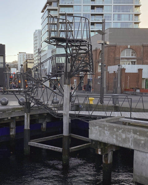 Urban Swimming in the World’s Windiest City